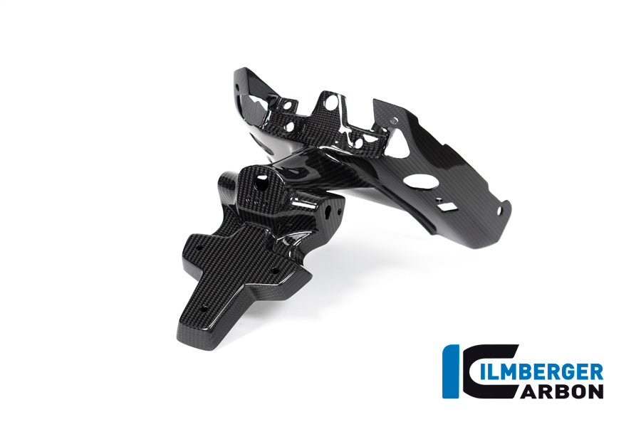 Ilmberger Carbon Numberplate Holder (2 piece) for the BMW R 1250 R/RS 2019