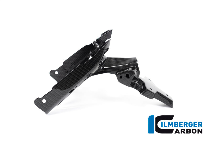 Ilmberger Carbon Numberplate Holder (2 piece) for the BMW R 1250 R/RS 2019