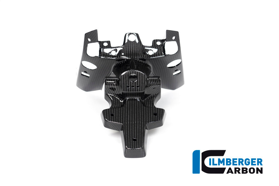 Ilmberger Carbon Numberplate Holder (2 piece) for the BMW R 1250 R/RS 2019