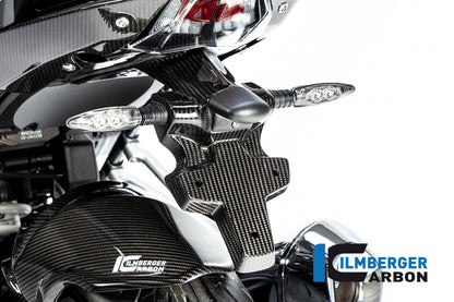 Ilmberger Carbon Numberplate Holder (2 piece) for the BMW R 1250 R/RS 2019