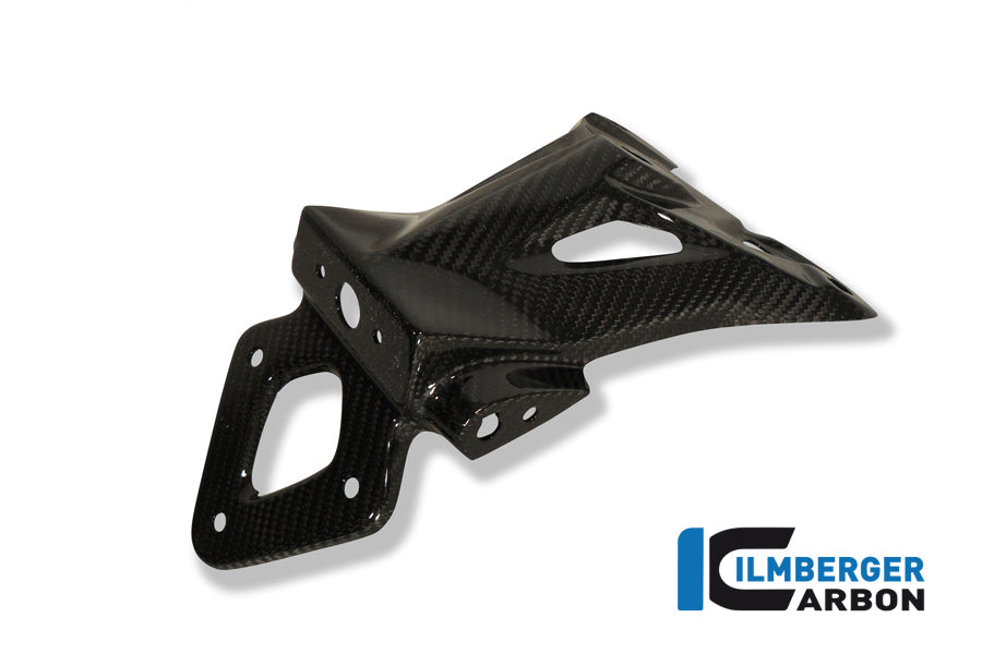 Ilmberger Carbon Number Plate Holder, Carbon for the BMW S 1000 R '14-25 / S 1000 RR '09-24 / HP4 '12-25