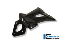 Ilmberger Carbon Number Plate Holder, Carbon for the BMW S 1000 R '14-25 / S 1000 RR '09-24 / HP4 '12-25