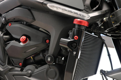 CNC Racing Radiator Side Protector for the Ducati Monster 937