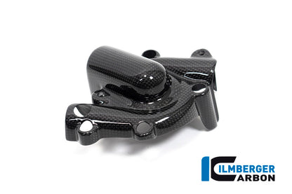 Ilmberger Carbon Waterpump Guard for the Ducati Monster 1200S '17