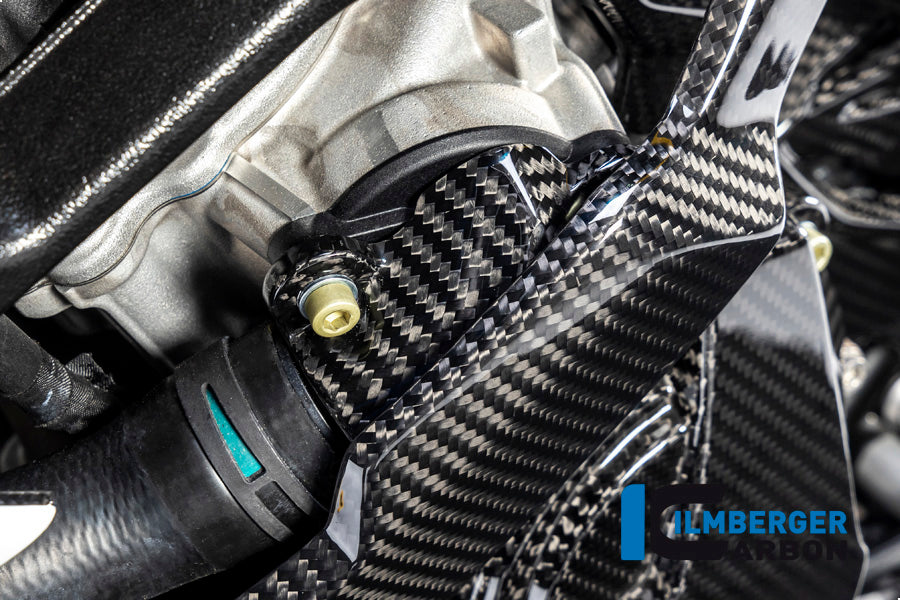 Ilmberger Carbon Water Pump Cover for the BMW S 1000 R '21 / S 1000 RR '19-23 / M1000R '23-24 / M1000RR '21-24