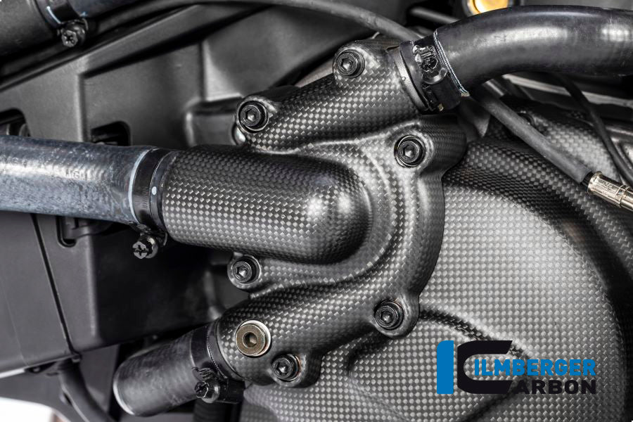 Ilmberger Carbon Waterpump Guard for the Ducati Monster 1200S '17
