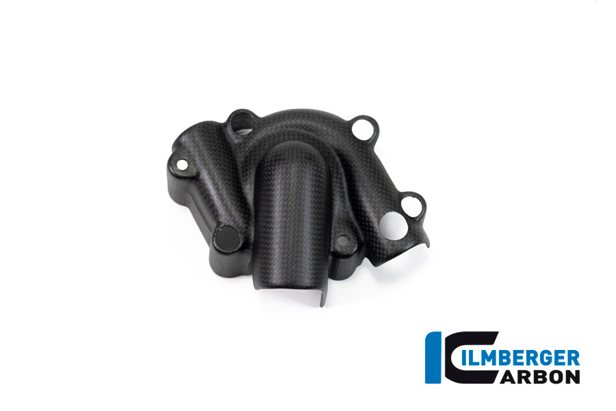 Ilmberger Carbon Waterpump Guard for the Ducati Monster 1200S '17