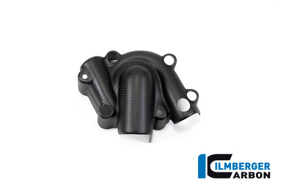 Ilmberger Carbon Waterpump Guard for the Ducati Monster 1200S '17