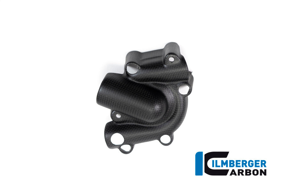 Ilmberger Carbon Waterpump Guard for the Ducati Monster 1200S '17