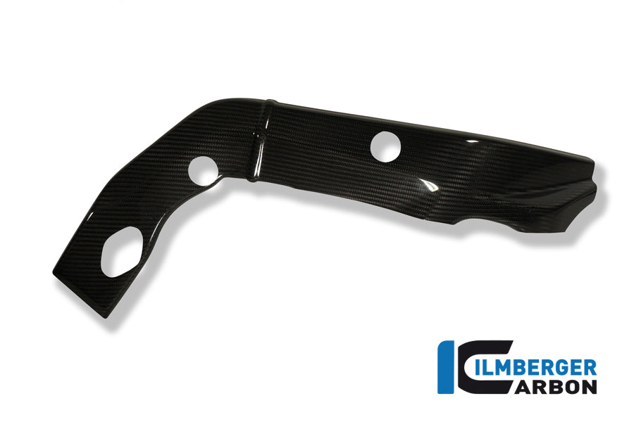 Ilmberger Carbon Frame Covers (Set - Left & Right), Carbon for the BMW S 1000 RR 2009-2011