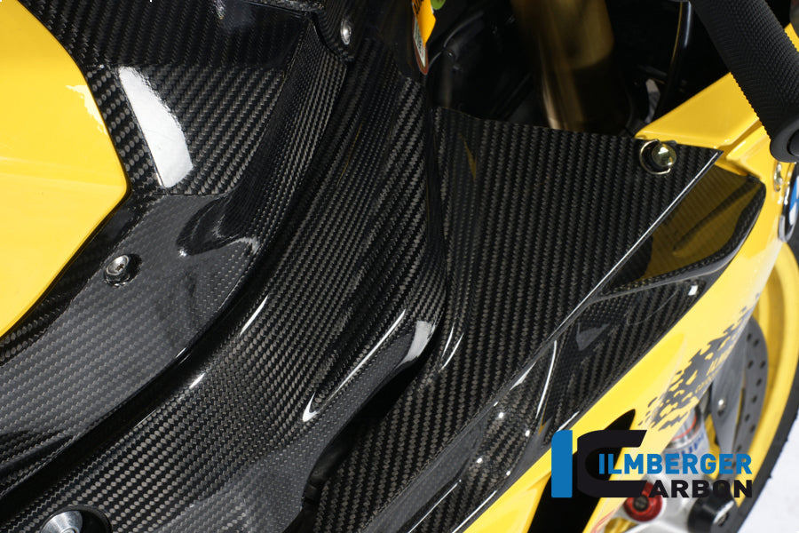Ilmberger Carbon Frame Cover Set (Left & Right), Carbon for the BMW S 1000 RR Racing 2009-2011