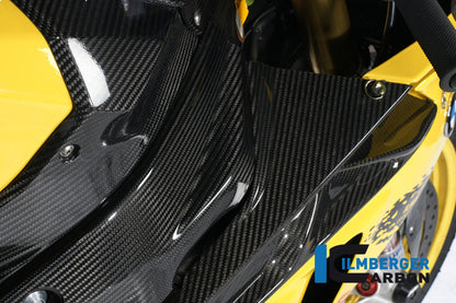 Ilmberger Carbon Frame Cover Set (Left & Right), Carbon for the BMW S 1000 RR Racing 2009-2011