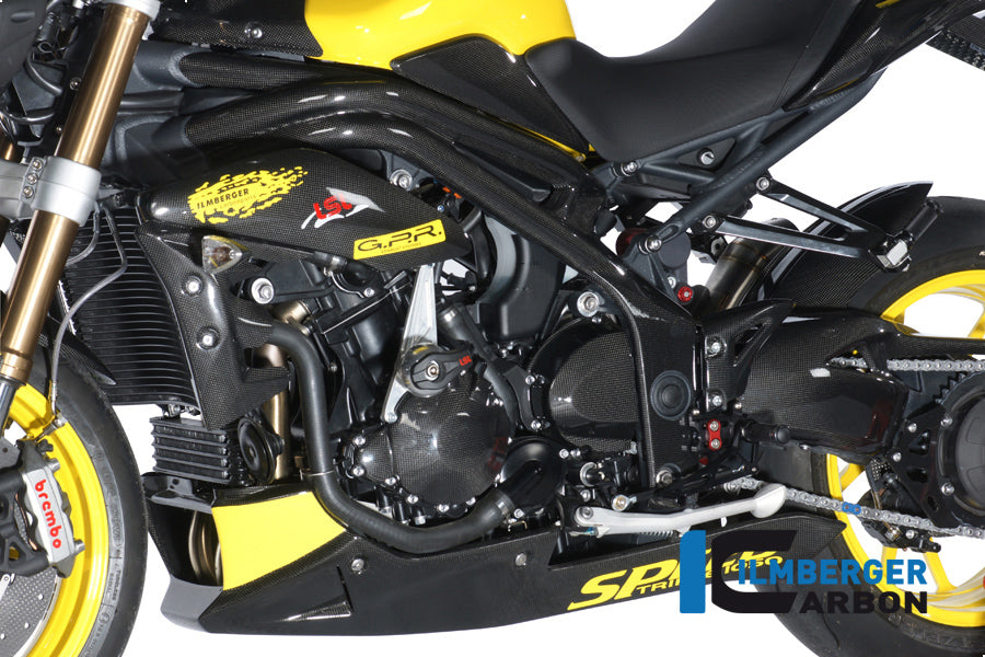 Ilmberger Carbon Frame Cover Left, for the Triumph Speed Triple '11-25
