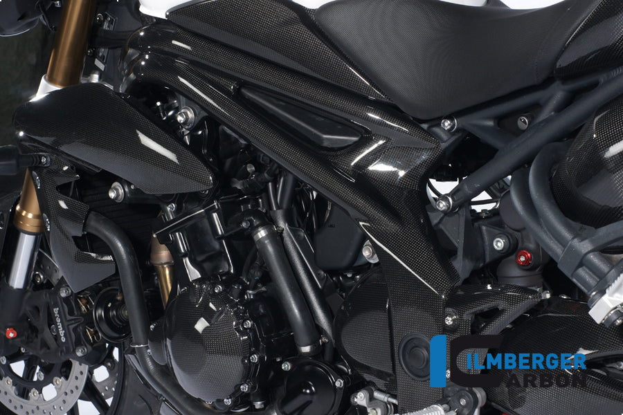 Ilmberger Carbon Frame Cover Left, for the Triumph Speed Triple '11-25