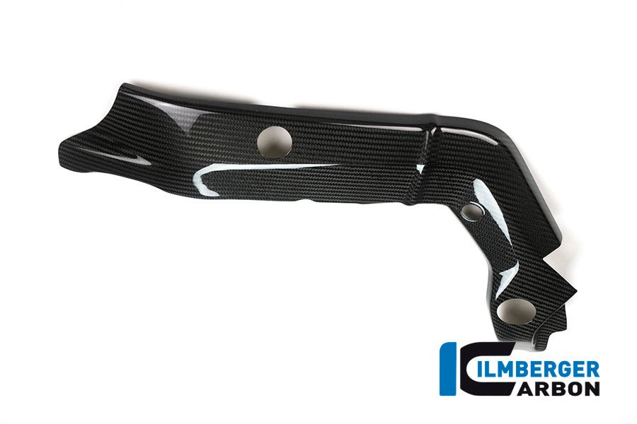 Ilmberger Carbon Frame Cover, Left Side for the BMW S 1000 XR 2015-2019