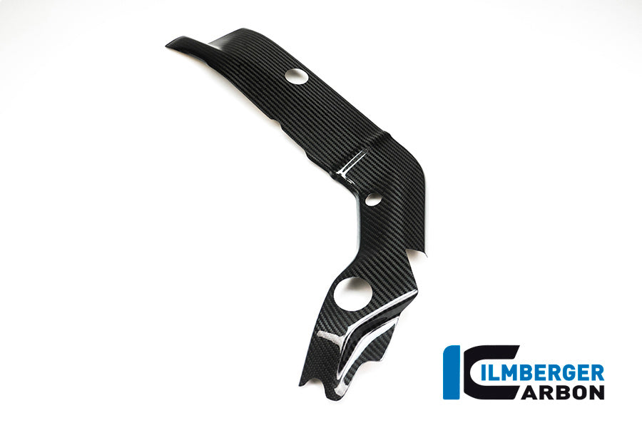 Ilmberger Carbon Frame Cover, Left Side for the BMW S 1000 XR 2015-2019