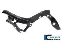Ilmberger Carbon Frame Cover, Left Side for the BMW S 1000 R '21 / M 1000 R '23-24