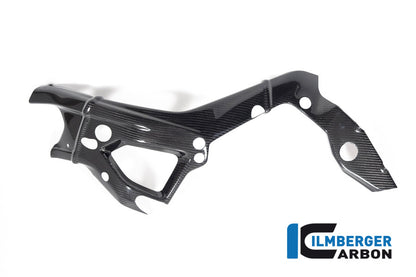 Ilmberger Carbon Frame Cover, Left Side for the BMW S 1000 R '21 / M 1000 R '23-24