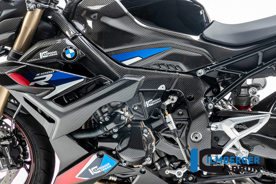 Ilmberger Carbon Frame Cover, Left Side for the BMW S 1000 R '21 / M 1000 R '23-24