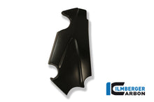 Ilmberger Carbon Frame Cover, Left Carbon for the Ducati Diavel 2011 - 2014