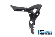 Ilmberger Carbon Frame Cover, Left for the BMW S 1000 XR '20-24 / M 1000 XR '24
