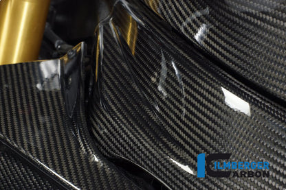 Ilmberger Carbon Frame Cover, Left Carbon for the BMW S1000RR '12-14 / HP4 '12-25