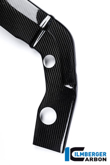 Ilmberger Carbon Framecover, Left Carbon for the BMW S 1000 R 2014-2016