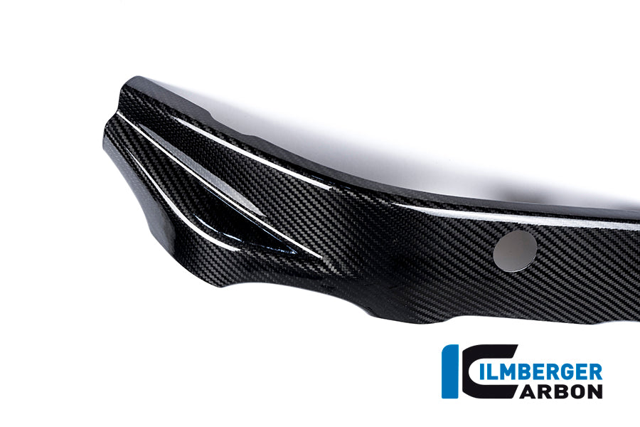 Ilmberger Carbon Framecover, Left Carbon for the BMW S 1000 R 2014-2016