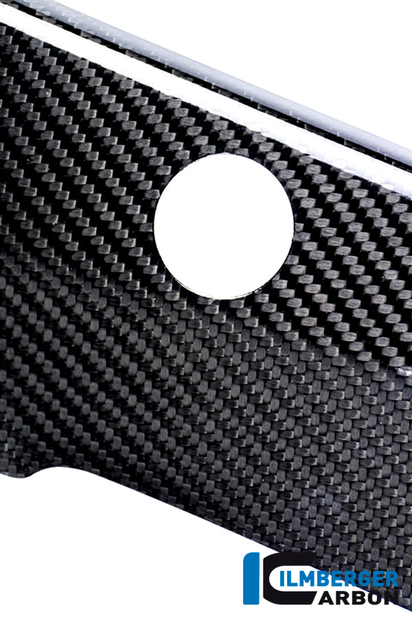 Ilmberger Carbon Framecover, Left Carbon for the BMW S 1000 R 2014-2016