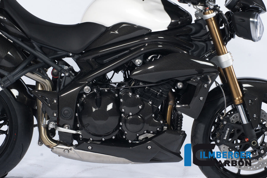 Ilmberger Carbon Frame Cover Right, for the Triumph Speed Triple '11-25