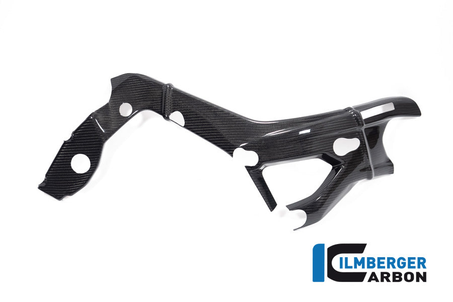 Ilmberger Carbon Frame Cover, Right Side for the BMW S 1000 R '21 / M 1000 R '23-24