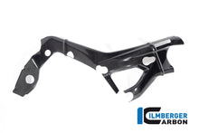 Ilmberger Carbon Frame Cover, Right Side for the BMW S 1000 R '21 / M 1000 R '23-24