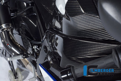 Ilmberger Carbon Frame Cover, Right Carbon for the BMW S1000RR '12-14 / HP4 '12-25