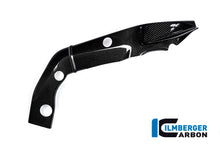 Ilmberger Carbon Framecover, Right Carbon for the BMW S 1000 R 2014-2016