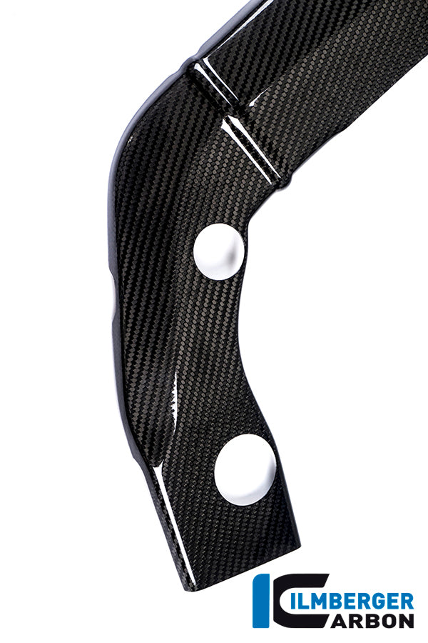 Ilmberger Carbon Framecover, Right Carbon for the BMW S 1000 R 2014-2016