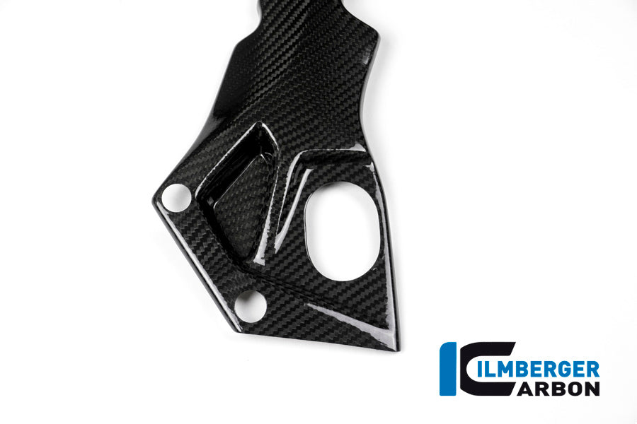 Ilmberger Carbon Frame Cover, Right Side Carbon for the BMW S 1000 RR 2015-2018
