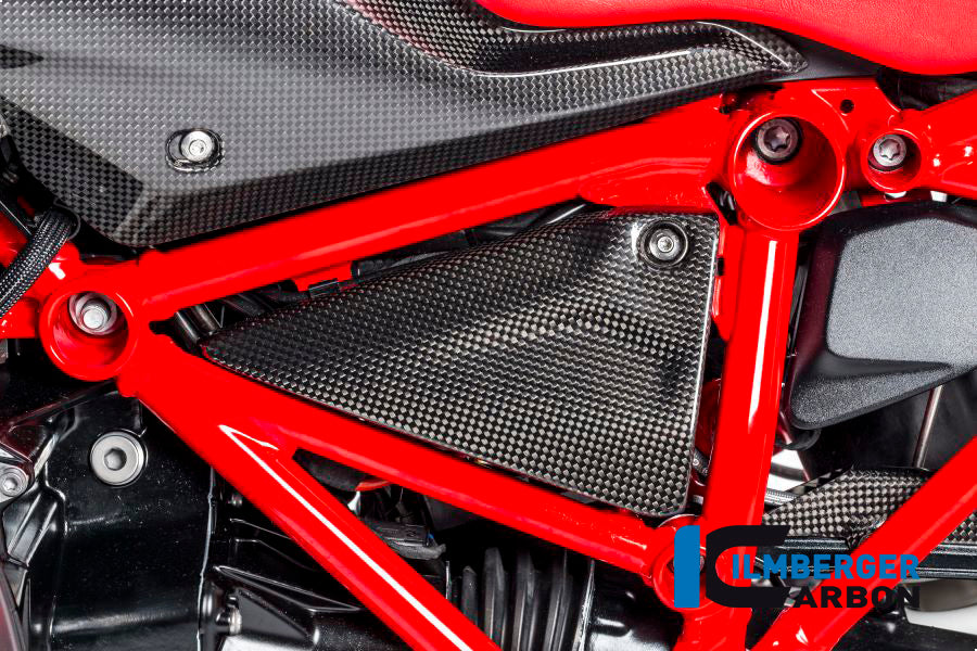 Ilmberger Carbon Triangular Frame Cover, Left Carbon for the BMW R 1200 GS '13-17, R 1200 RS '15-24, R 1200 GS Adventure 2014