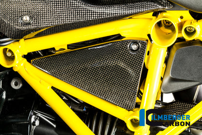 Ilmberger Carbon Triangular Frame Cover, Left Carbon for the BMW R 1200 GS '13-17, R 1200 RS '15-24, R 1200 GS Adventure 2014