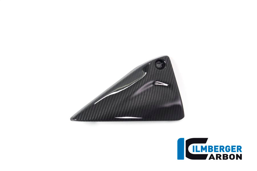 Ilmberger Carbon Frame Triangle Cover, Left Side for the BMW R 1250 R/RS/GS/GS Adventure 2019