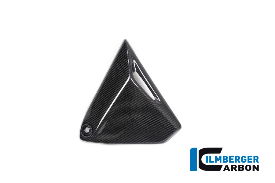 Ilmberger Carbon Frame Triangle Cover, Right Side for the BMW R 1250 R/RS/GS/GS Adventure 2019