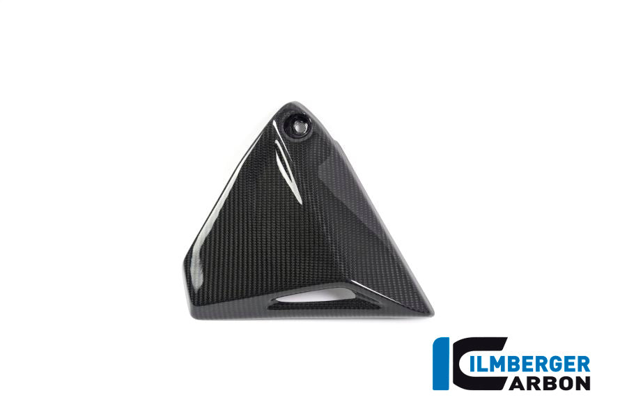 Ilmberger Carbon Frame Triangle Cover, Right Side for the BMW R 1250 R/RS/GS/GS Adventure 2019