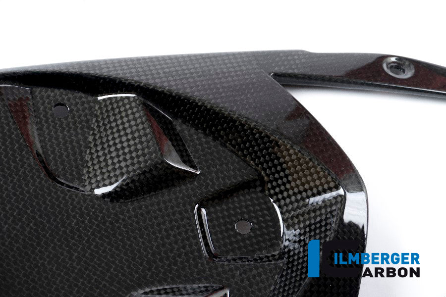 Ilmberger Carbon Rear Undertray, Carbon for the BMW S 1000 R '15-17 / S 1000 RR '15-18