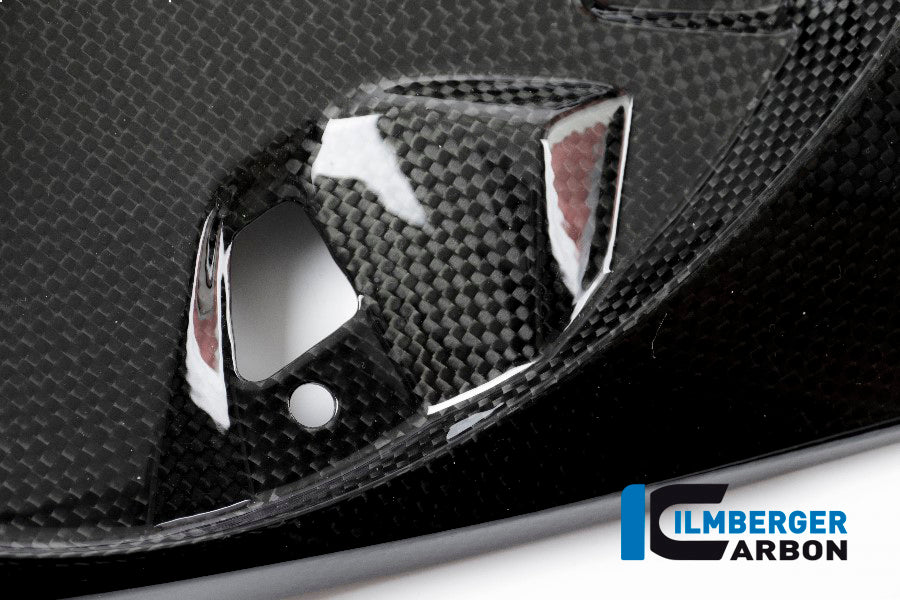 Ilmberger Carbon Rear Undertray, Carbon for the BMW S 1000 R '15-17 / S 1000 RR '15-18