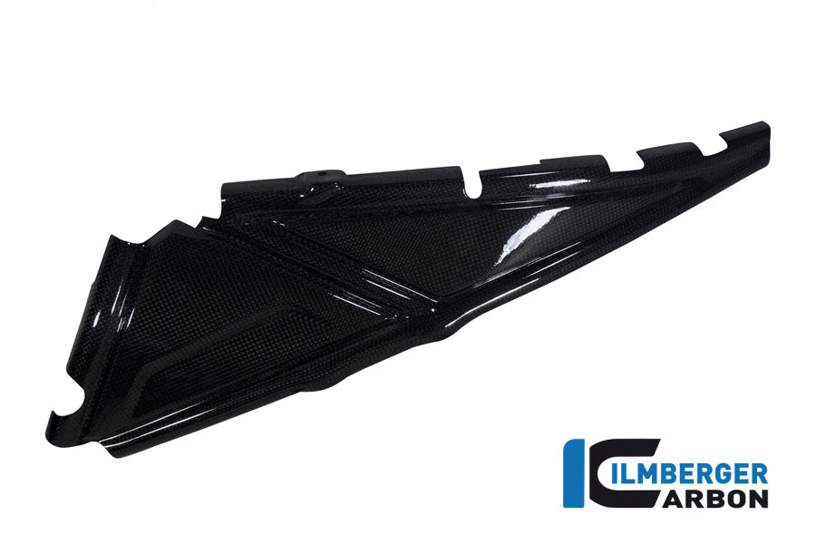 Ilmberger Carbon Rear Frame Cover, Left Carbon for the BMW R 1200 GS '13-17, R 1200 GS Adventure 2014