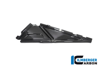 Ilmberger Carbon Subframe Cover, Left Side for the BMW R 1250 GS / GS Adventure 2019