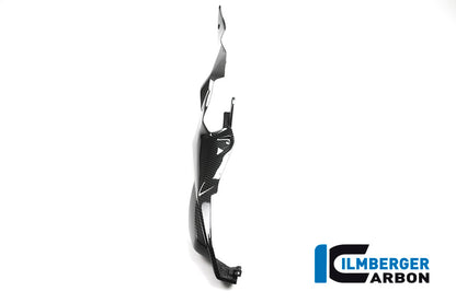 Ilmberger Carbon Subframe Cover, Right Side for the BMW S 1000 XR 2015-2019