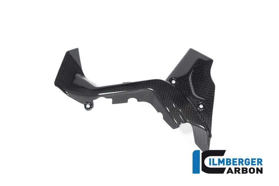 Ilmberger Carbon Sprocket Cover for the Ducati Diavel V4 2023
