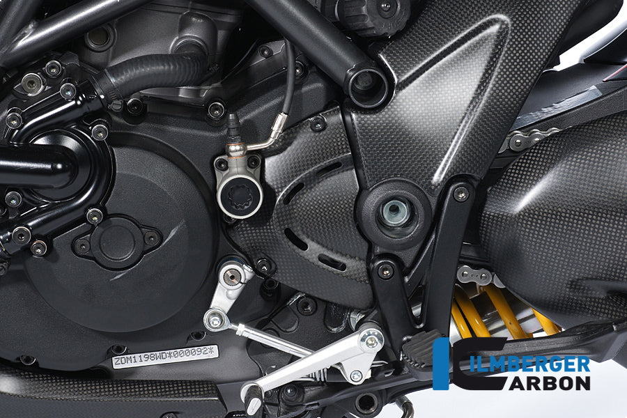 Ilmberger Carbon Front Sprocket Cover Carbon for the Ducati Diavel 2011 - 2014