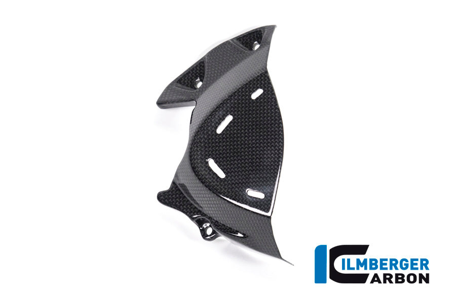 Ilmberger Carbon Front Sprocket Cover for the Ducati Monster 1200S '17