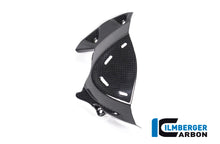 Ilmberger Carbon Front Sprocket Cover for the Ducati Monster 1200S '17